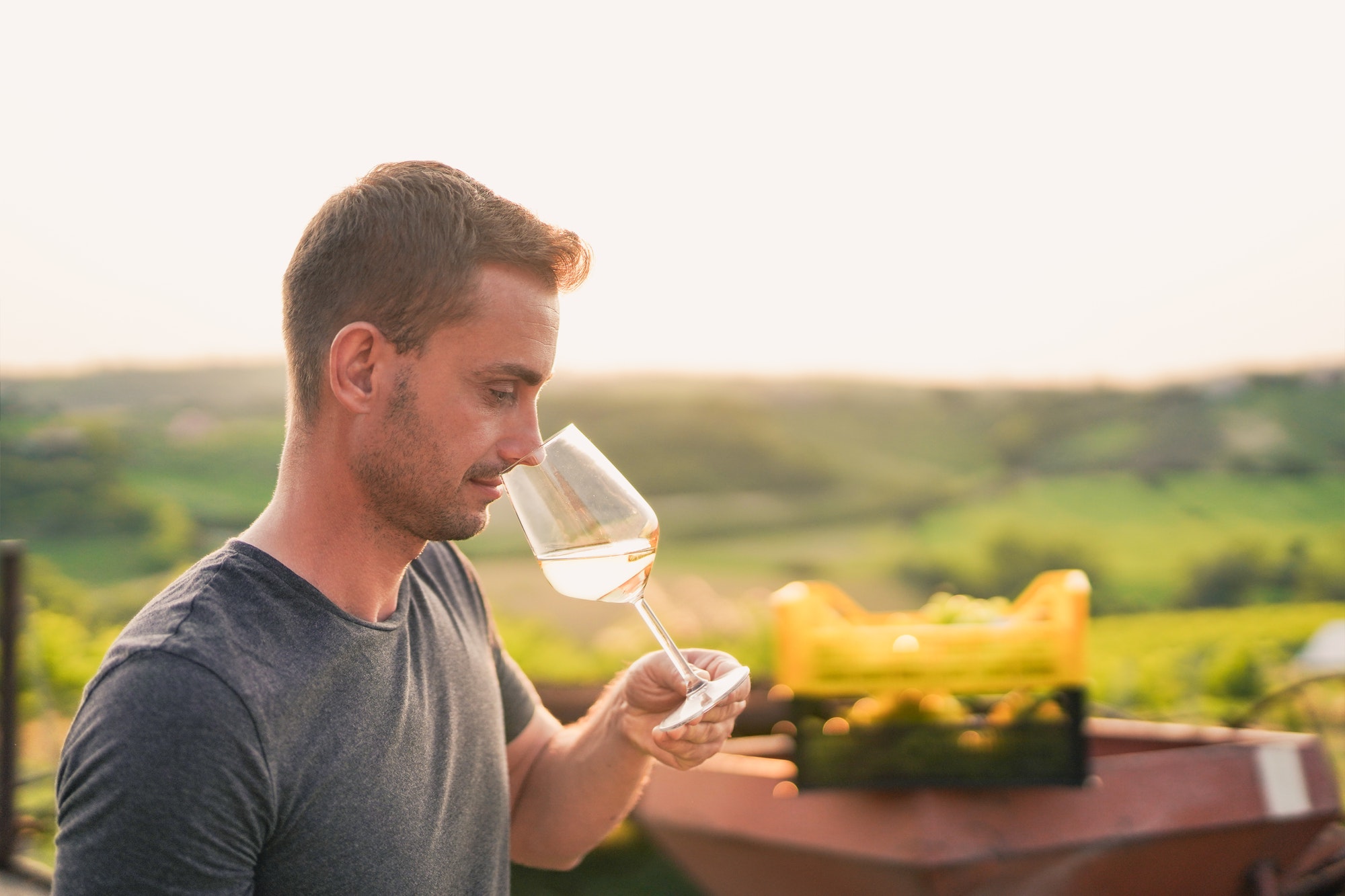 Young man tasting wine at sunset with wineyard in the background